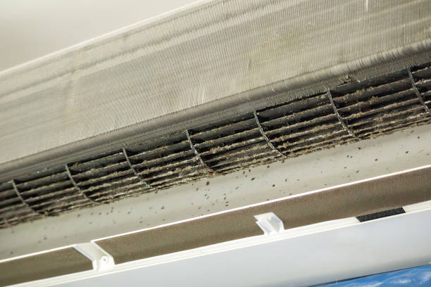 Best Professional Duct Cleaning Services  in Angola, IN